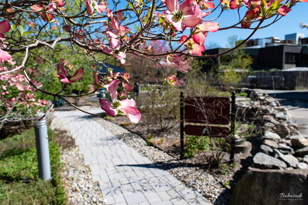 DSC 0020-3